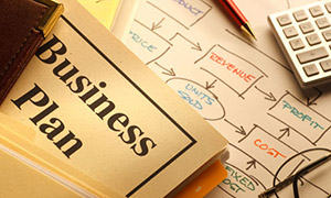 businessplan