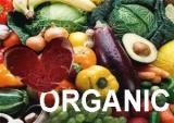 organska hrana 140910